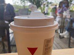 -代数学家algebraist(仙林金鹰店)