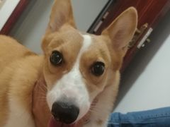 -欢唱KTV(映月湖环宇城店)