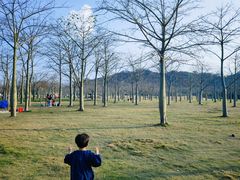 -风云岭森林公园