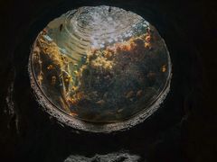 -珠海长隆海洋王国