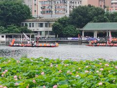 -荔湾湖公园