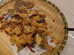 -陶缘一号·四季缘·老字号顺德菜·户外婚礼家宴(西滘店)