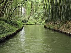 -同里国家湿地公园