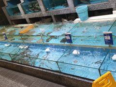 水产区-香顺·客家菜(东坑店)