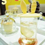厦门探店 | 兔兔那么可爱，快来撸它！