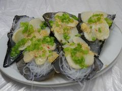 带子-老三鱼仔店