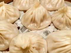 -莱莱小笼·乔艾