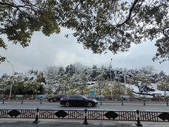 -老宜春味道·江西菜(都市春天店)