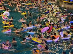-重庆海昌加勒比海水世界
