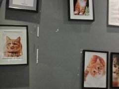 大堂-猫抓烤肉(武进吾悦广场店)