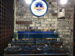 水产区-西街夜油条·麻团包乌饭