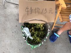 -马陆小张葡萄园农家乐