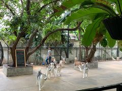 -TrueLove @ Neverland (Husky Cafe)