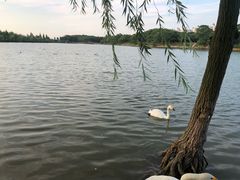 -艾溪湖湿地公园