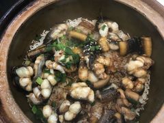 白鳝黄鳝煲仔饭-红星光发煲仔饭(大石街店)
