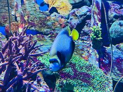 -暹罗海洋世界