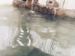 -山湖温泉