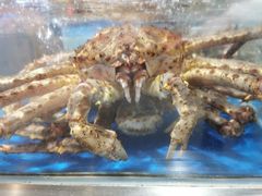 -盒马鲜生(莱蒙都会店)