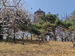 -玲珑塔公园