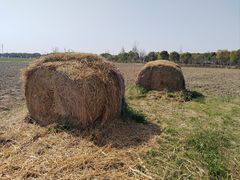 -嘉北郊野公园