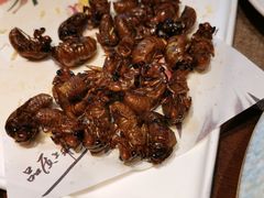 -俏东方·海味水饺·青岛菜(崂山店)