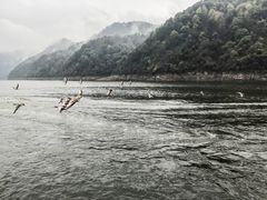 -新安江山水画廊风景区