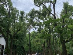 -东湖落雁景区