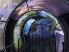 -房山世界地质公园博物馆