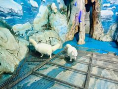 -泉城欧乐堡海洋极地世界