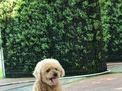 -上海多利农业发展有限公司