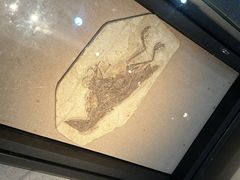 -浙江自然博物院(杭州馆)