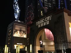 -影汇之星8字形摩天轮