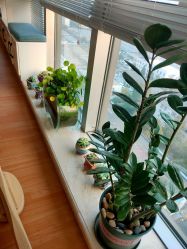 -Green Pilates格琳普拉提工作室