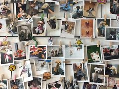 -Oh My Dog宠物沙龙(伊珊娜皮毛护理店)