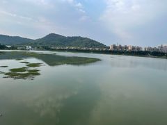 -风云岭森林公园