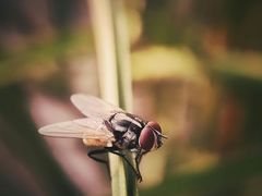 -维乐口腔医院(星海湾分院)
