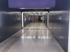 -大望路(地铁站)