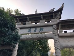 鲤子湖-峙山公园