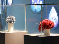 -泉城欧乐堡海洋极地世界