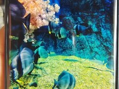 -烟台海昌鲸鲨海洋公园