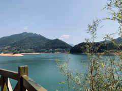 -广州市流溪河国家森林公园