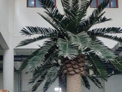 -遵化汤泉宫温泉度假村