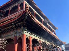 -七寻八找·胡同菜