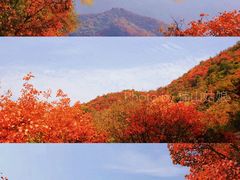 -终南山国家森林公园
