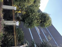 -四川广播电视台(世纪城路店)