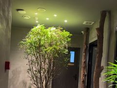 -森SPA·泰式按摩·精油Massage(宝安中心店)
