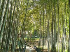 -宝岩生态观光园