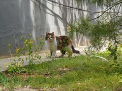 -莲花池公园