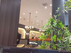 -刘胖子家常菜·蹄花焖藕(中南店)