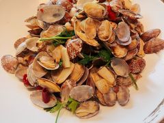 -俏东方·海味水饺·青岛菜(崂山店)